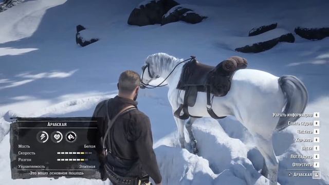 Нашли Арабского скакуна [RDR 2] — 11 серия прохождения Red Dead Redemption 2 смотреть онлайн