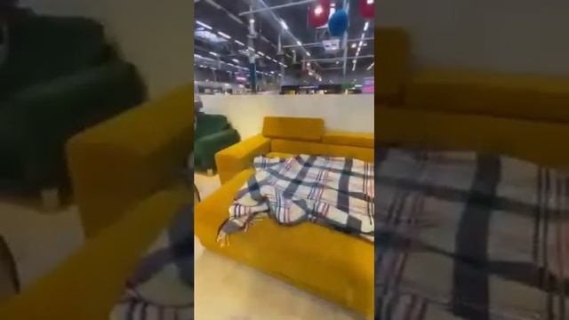 Модель "Флорида" оснащена удобным и плавным механизмом трансформации «Пума» смотреть онлайн