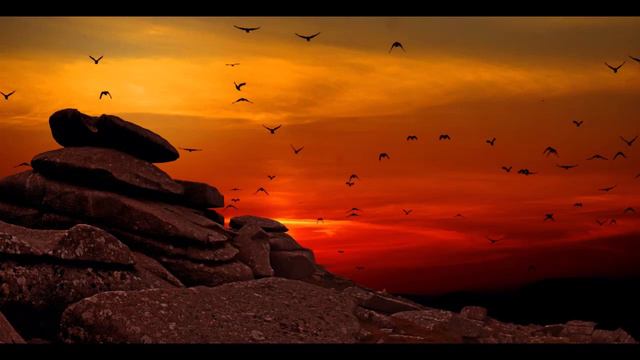 flute piccolo LOWELL LIEBERMANN Concerto for Piccolo and Orchestra Op. 50 : "Presto" смотреть онлайн