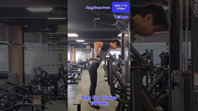 Triceps Dips @BW54kg, 13 Reps - One Set Only - Daily SHORT Strength Training Program 2023 11 22 смотреть онлайн