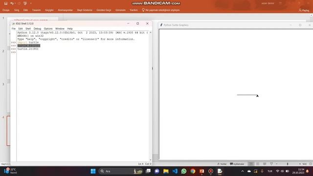 Python dersleriPython Turtle ile Döngü Kullanımı ve Döngülerin Mantığı смотреть онлайн