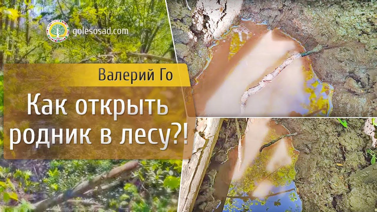 Как открыть родник в лесу?! смотреть онлайн