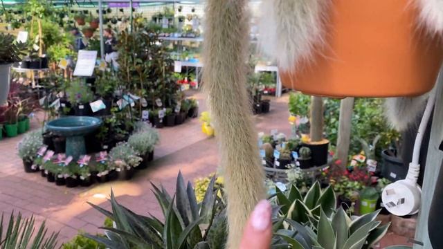 HOUSEPLANT SHOPPING | ALTRA NURSERY & FLOWER POWER PLANT TOUR смотреть онлайн