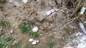 Поиск монет без металлоискателя 33