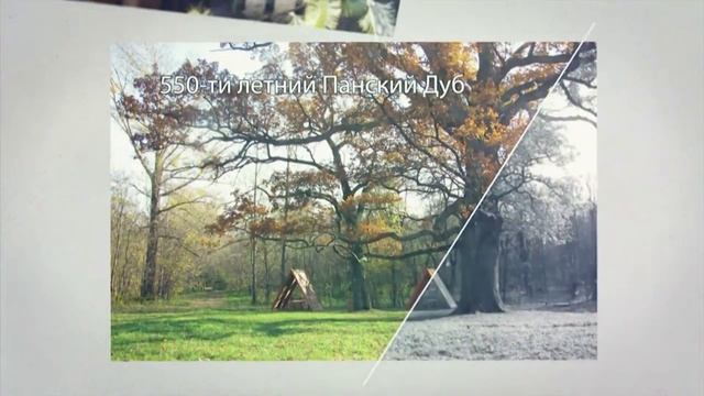 Интересные факты и история ветряных и водяных мельниц смотреть онлайн