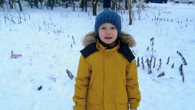Кормушка для птиц. Подкармливаем птиц во время холодной зимы. смотреть онлайн