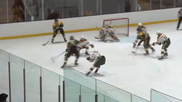 U of A Golden Bears Hockey vs Regina Cougars - October 29, 2021 смотреть онлайн
