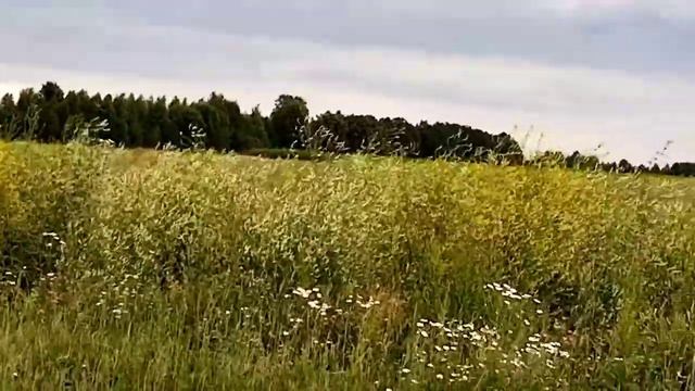 #игра на гармони #песню очень просили смотреть онлайн