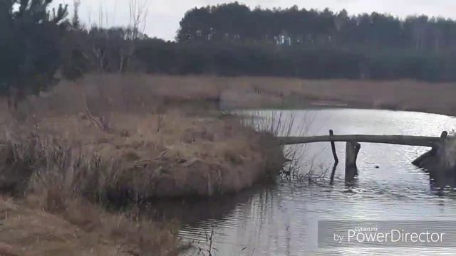 18# А УТКИ ЛЕТЯТ ВЫСОКО ВЫСОКО!!! МИНИ ПРОГУЛКА У ОЗЕРА! смотреть онлайн