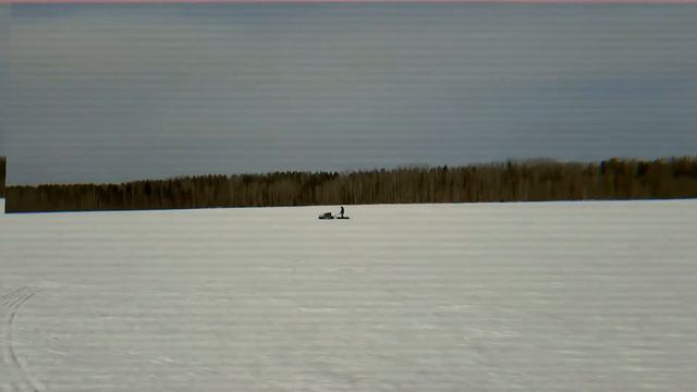 Моя мотособака!))) смотреть онлайн