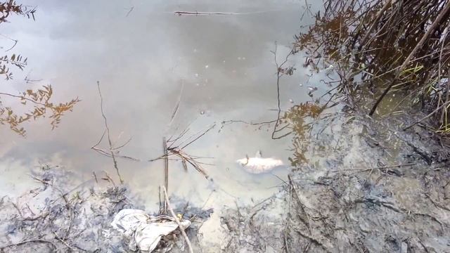 Рыбалка в Тюмени на Водозаборе река Тура смотреть онлайн