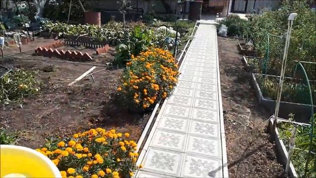 Vlog/Наши будни на даче/Запекли скумбрию/Соседи угостили горячим кофе... смотреть онлайн