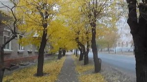 Прогулка по Северодонецке. ул Энергетиков.