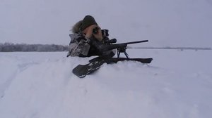 CZ 527 M1 , 223 rem . Стрельба на 190 м  самым дешёвым патроном .