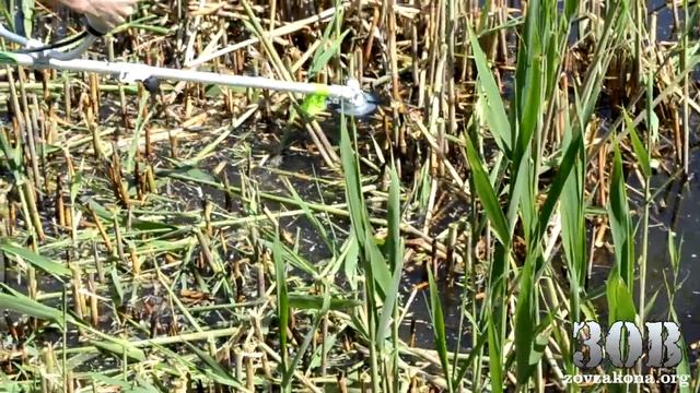 Уборка озера на Победе-6 (отчёт) смотреть онлайн