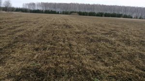 Корневая подкормка люцерны