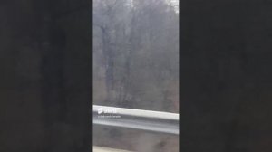 1000023827.mp4Брянск.10.03.2024г.