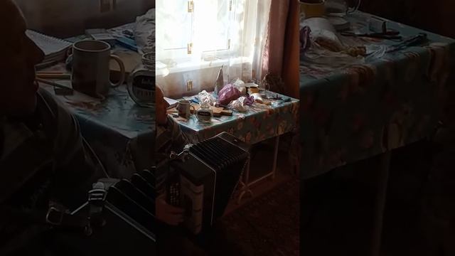 Впервые за много лет взял баян в руки смотреть онлайн