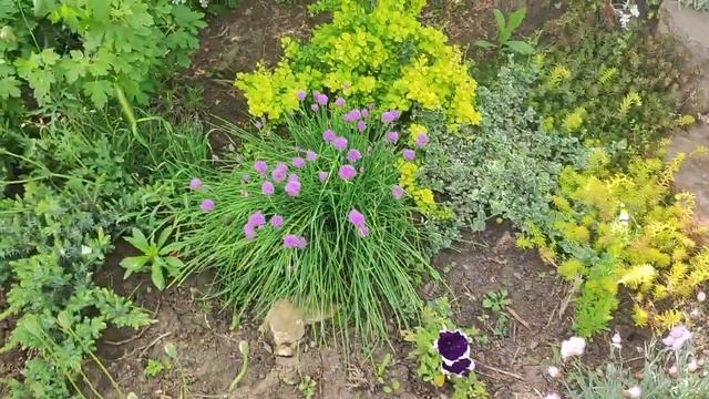 Мой пруд,как есть. Хэйтерам посвящается смотреть онлайн