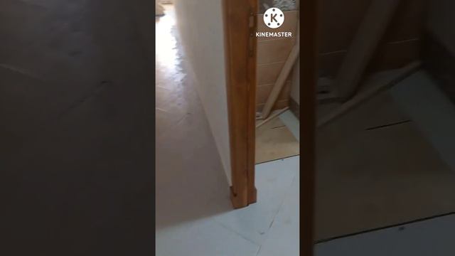 déjà vendu ....3 appart. à vendre...immeuble= 8 appart..tanja balia ..44/45/49mlion ..étage =1/2/3 смотреть онлайн