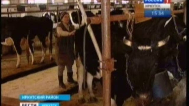 У хозяйства в поселке Ревякина на этот год большие планы смотреть онлайн