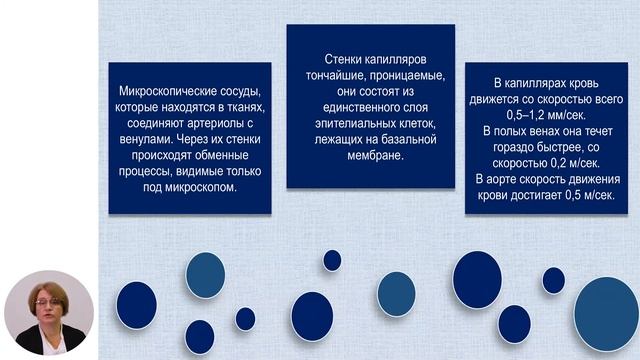 Биология, 11-й класс, Роль сердечно-сосудистой системы. Сосудистая система: кровеносные сосуды