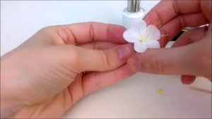 Мастер класс цветок яблони