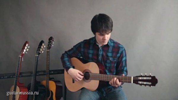 Обзор классической гитары Hohner HC06