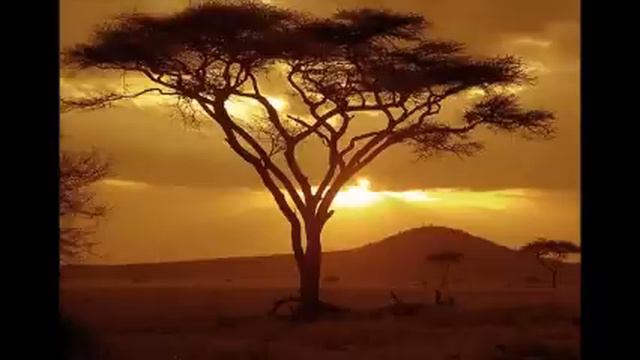 Dr  Tawanda  (Macheso Remi) Madhawu