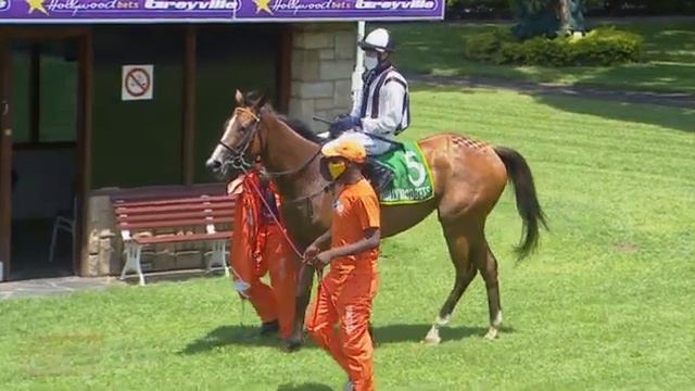 20220216 Hollywoodbets Greyville Race 1 won by DEMIGOD смотреть онлайн