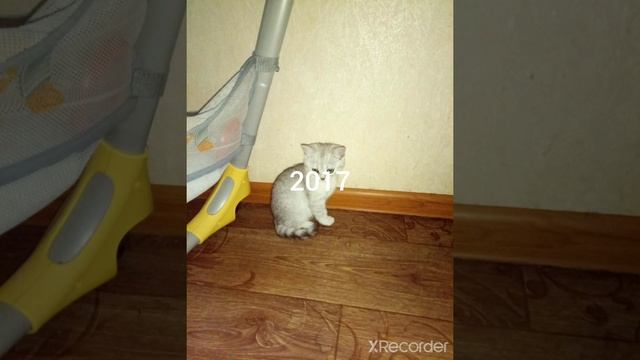 Алиса в детстве❤