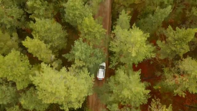 Как провести выходные в Ленинградской области смотреть онлайн