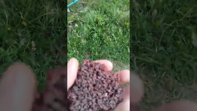 Отмывание денег или безответственность? смотреть онлайн