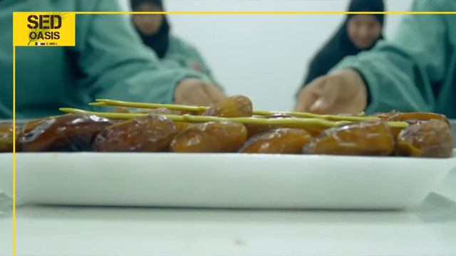 SED OASIS - RUSSIA (СЕД ОАЗИС) смотреть онлайн