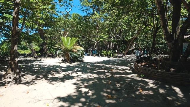 Симиланы 2023 Сезон открыт!!! Черепаха на Симиланских островах. | Similan Islands Tour 2023