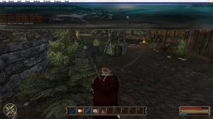 Читы на Gothic 3 . Как пользоваться