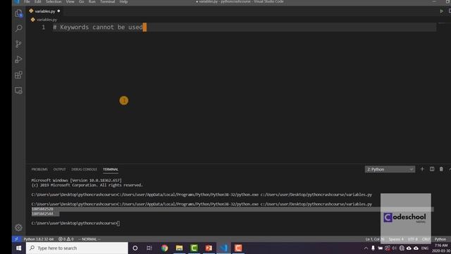 Variables literals and data types | Python Nepali tutorials смотреть онлайн