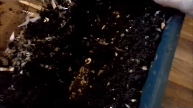 Worm Farm Feed 1 Vermicomposting смотреть онлайн