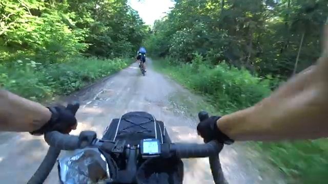 Красный лес и гравийник. смотреть онлайн