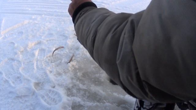 За корюшкой на Баклан / Белое море/г.Кемь/2021год смотреть онлайн