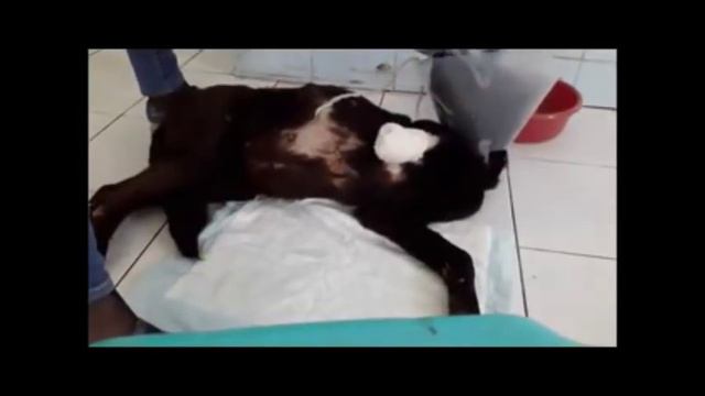 Вся жизнь в одном кадре История Немки Начало смотреть онлайн