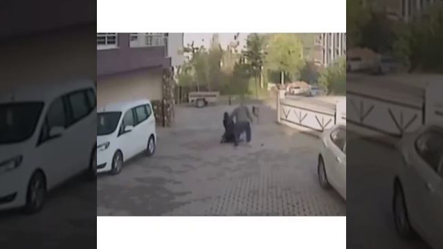 Собака напал на ребенка смотреть онлайн