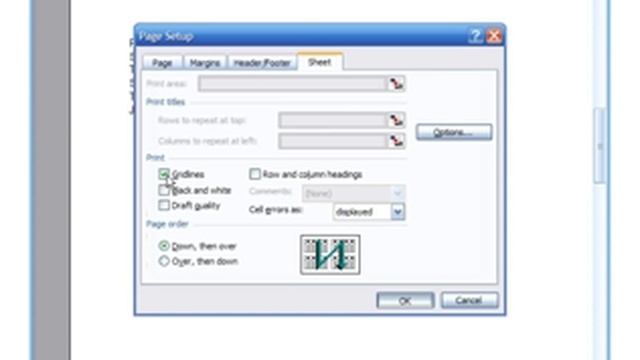 Microsoft Excel 2003 Basic 4 (Sample Exercise, Page setup features) смотреть онлайн