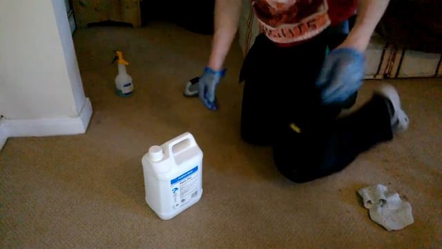 prochem stain pro easy way too remove dirty carpet high traffic marks смотреть онлайн