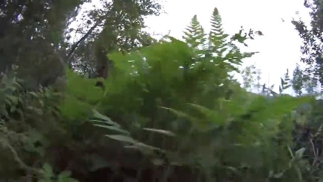 YBR 125 Омск - Новосибирск 2016 (74) смотреть онлайн