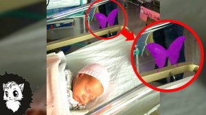 ВОТ ЧТО ОЗНАЧАЕТ ТАКАЯ БАБОЧКА НА ДЕТСКОЙ КРОВАТКЕ [Белый кот]