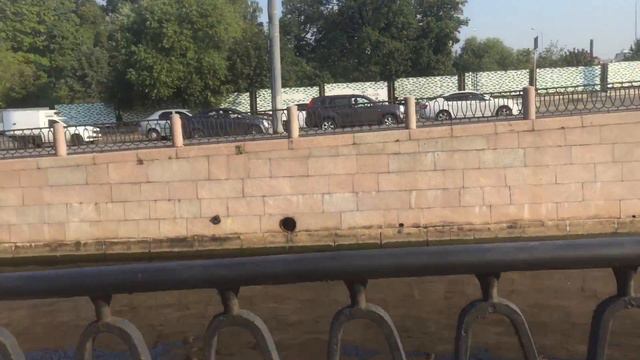 Новый парк в Питере смотреть онлайн