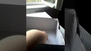 Как сделать камеру Обскура  своими руками