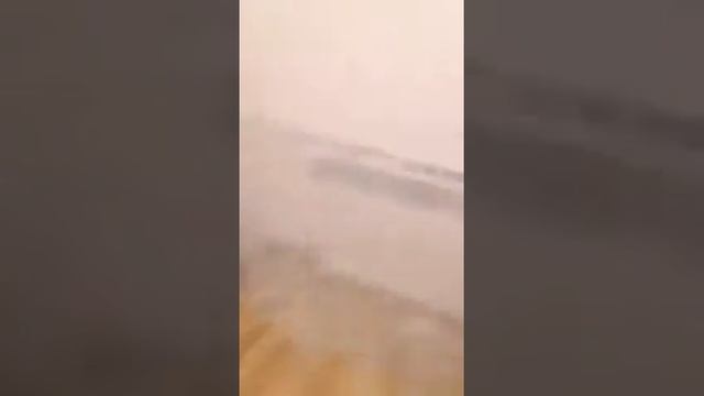 Наша малышка не нарадуется шведской стенке Доскорт! смотреть онлайн