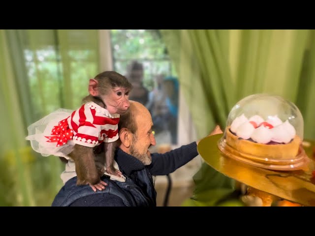 Люся ПРАЗДНУЕТ ДЕНЬ РОЖДЕНИЯ и получвет подарки!